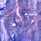 SIF_1483_0798597033_750EBY_N0730000SRLC00730_0000LMJ