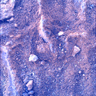 SIF_1483_0798597035_367EBY_N0730000SRLC00730_0000LMJ