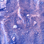 SIF_1483_0798597036_984EBY_N0730000SRLC00730_0000LMJ