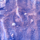 SIF_1483_0798597041_835EBY_N0730000SRLC00730_0000LMJ