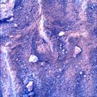 SIF_1483_0798597043_453EBY_N0730000SRLC00730_0000LMJ