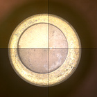 CCF_1492_0799392379_555EBYUN0730000CACH00221_XX_0LLJ
