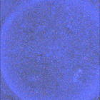 SIF_1504_0800486797_984EBY_N0731522SRLC08029_0000LMJ