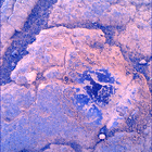 SIF_1528_0802584804_644EBY_N0750000SRLC00718_0000LMJ