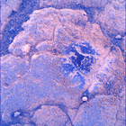 SIF_1528_0802584984_546EBY_N0750000SRLC00718_0000LMJ