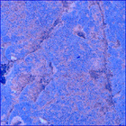 SIF_1528_0802585326_972EBY_N0750000SRLC02500_0000LMJ