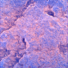 SIF_1528_0802585855_214EBY_N0750000SRLC00524_0000LMJ