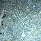SIF_1528_0802621064_683EBY_N0750000SRLC08050_0000LMJ