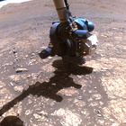 FLF_1544_0804007391_527ECM_N0760000FHAZ00215_01_275J