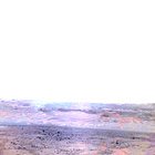 NLF_1545_0804106542_949ECM_N0760000NCAM00501_01_295J