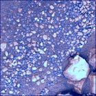 SIF_1548_0804359156_074EBY_N0760000SRLC02503_0000LMJ