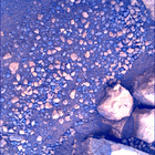SIF_1548_0804359331_656EBY_N0760000SRLC01036_0000LMJ