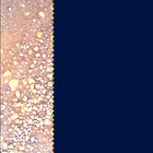 SIF_1548_0804359503_070EBY_N0760000SRLC01036_0000LMJ