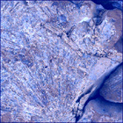SIF_1548_0804359956_441EBY_N0760000SRLC01036_0000LMJ