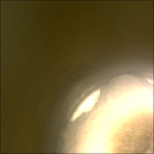 CCF_1552_0804739755_229EBYUN0770000CACH00232_04_0LLJ