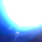 NLF_1552_0804713923_992ECM_N0770000NCAM00501_01_295J