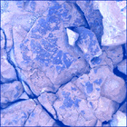 SIF_1555_0804984426_746EBY_N0770000SRLC03000_0000LMJ