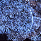 SIF_1569_0806238284_410EBY_N0771350SRLC01021_0000LMJ