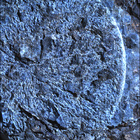 SIF_1569_0806238651_300EBY_N0771350SRLC00721_0000LMJ