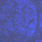SIF_1569_0806264384_746EBY_N0771350SRLC08029_0000LMJ
