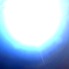 NLF_1582_0807382072_316ECM_N0774840NCAM00501_01_295J