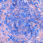 SIF_1600_0808981119_484EBY_N0783588SRLC00354_0000LMJ