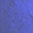 SIF_1600_0809011541_453EBY_N0783588SRLC08060_0000LMJ