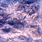 SIF_1613_0810132533_535EBY_N0790102SRLC00648_0000LMJ