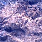 SIF_1613_0810132734_769EBY_N0790102SRLC00472_0000LMJ