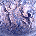 SIF_1621_0810854859_687EBY_N0790198SRLC00361_0000LMJ