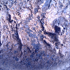 SIF_1621_0810854863_316EBY_N0790198SRLC00361_0000LMJ