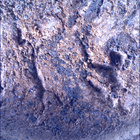SIF_1621_0810854866_941EBY_N0790198SRLC00361_0000LMJ