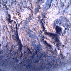 SIF_1621_0810854870_566EBY_N0790198SRLC00361_0000LMJ