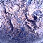 SIF_1621_0810854872_378EBY_N0790198SRLC00361_0000LMJ