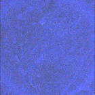 SIF_1623_0811049085_253EBY_N0790328SRLC08061_0000LMJ
