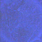 SIF_1623_0811049125_363EBY_N0790328SRLC08061_0000LMJ