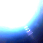 NLF_1624_0811115083_929ECM_N0790328NCAM00501_01_295J