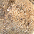 SIF_1626_0811287666_828EBY_N0790328SRLC00636_0000LMJ
