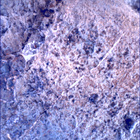 SIF_1626_0811287870_898EBY_N0790328SRLC00442_0000LMJ