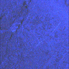 SIF_1626_0811327979_253EBY_N0790328SRLC08062_0000LMJ