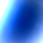 NLF_1629_0811532893_365ECM_N0790488NCAM00501_01_295J