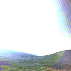 NLF_1630_0811655336_362ECM_N0790596NCAM00501_01_295J
