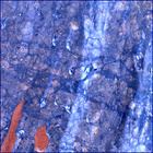 SIF_1630_0811648444_015EBY_N0790596SRLC00636_0000LMJ