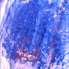 SIF_1630_0811648663_027EBY_N0790596SRLC00636_0000LMJ