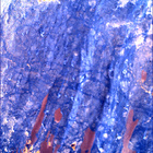 SIF_1630_0811648884_140EBY_N0790596SRLC00348_0000LMJ