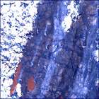 SIF_1631_0811736868_695EBY_N0790596SRLC00731_0000LMJ
