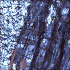 SIF_1631_0811759234_566EBY_N0790596SRLC08061_0000LMJ
