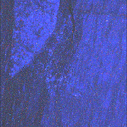SIF_1634_0812037412_347EBY_N0790596SRLC08062_0000LMJ