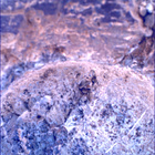 SIF_1637_0812262277_984EBY_N0790732SRLC00761_0000LMJ