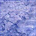 SIF_1637_0812262424_796EBY_N0790732SRLC00761_0000LMJ
